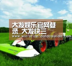 关于大发快三